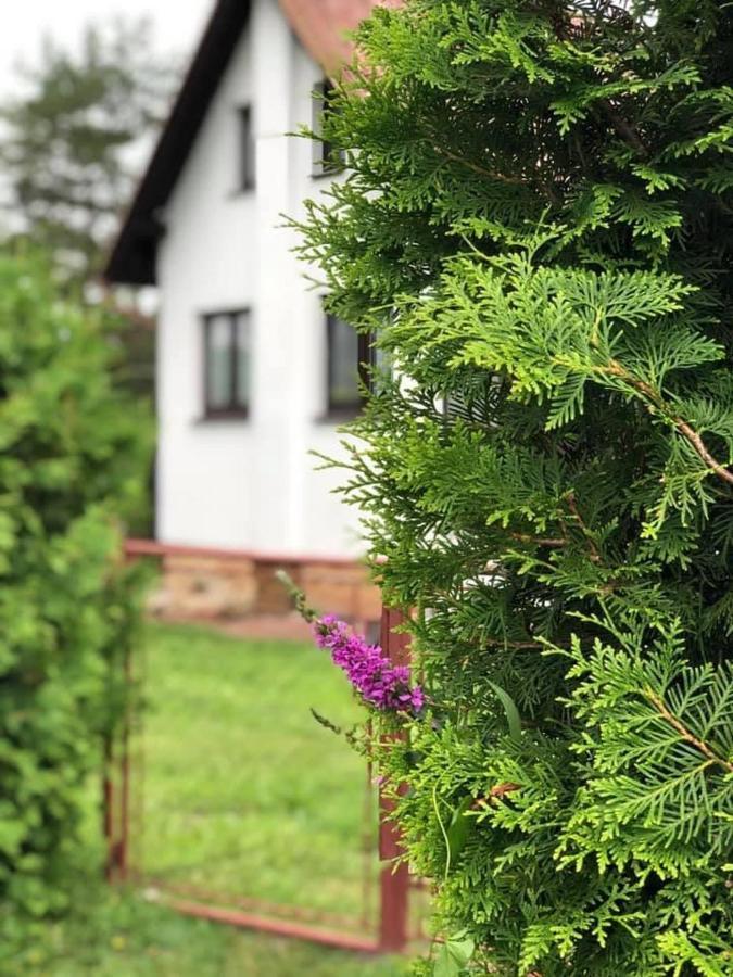 Chata U Smoliku Borovany  Dış mekan fotoğraf