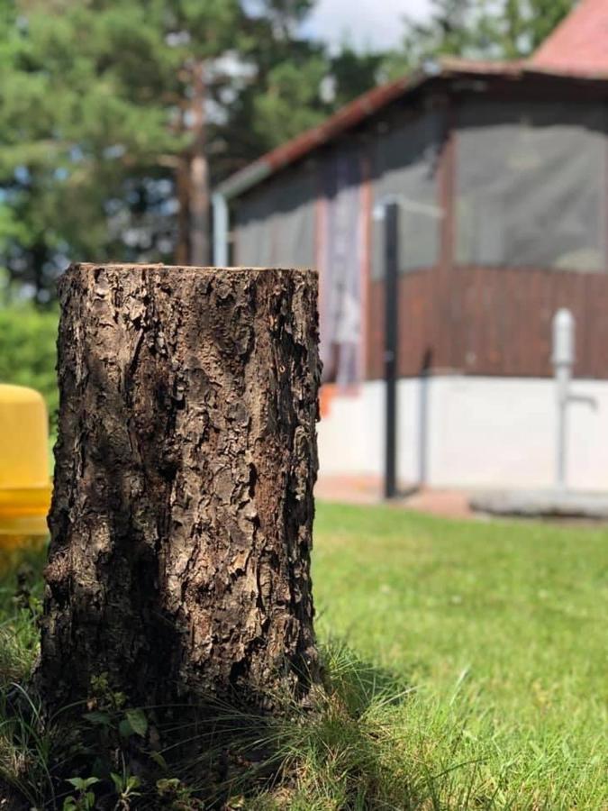 Chata U Smoliku Borovany  Dış mekan fotoğraf